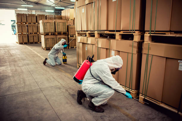 Best Termite Control Services  in Wallace, FL