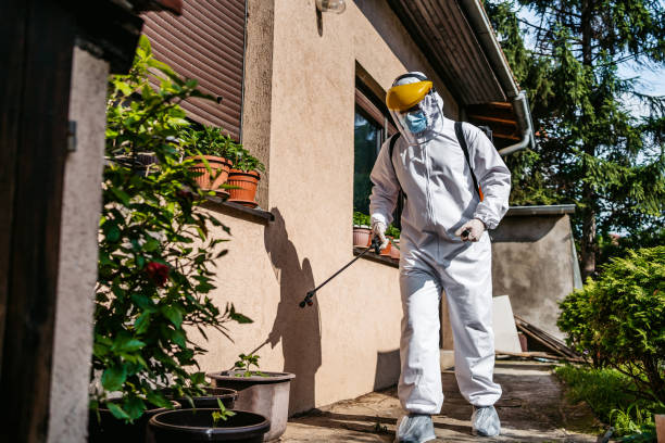 Best Wildlife Control Services  in Wallace, FL