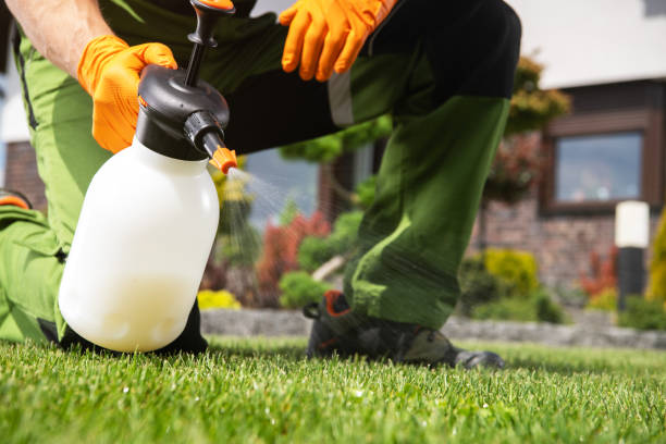 Best Insect Control  in Wallace, FL