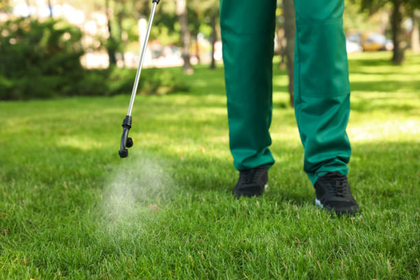 Best Wildlife Control Services  in Wallace, FL
