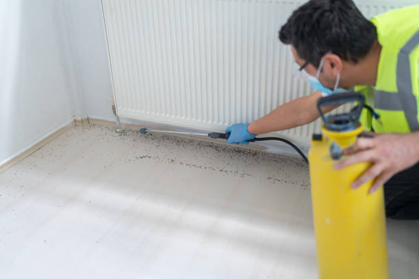 Best Pest Control for Homes  in Wallace, FL