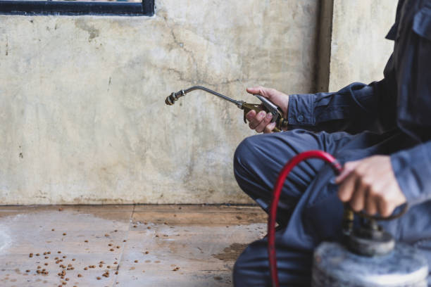 Best Pest Inspection Near Me  in Wallace, FL