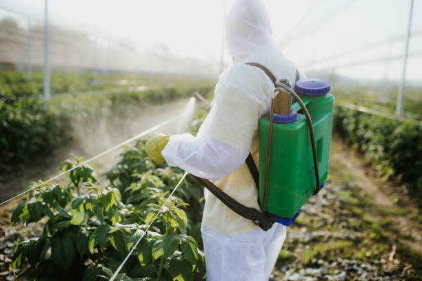 Best Pest Removal Services  in Wallace, FL